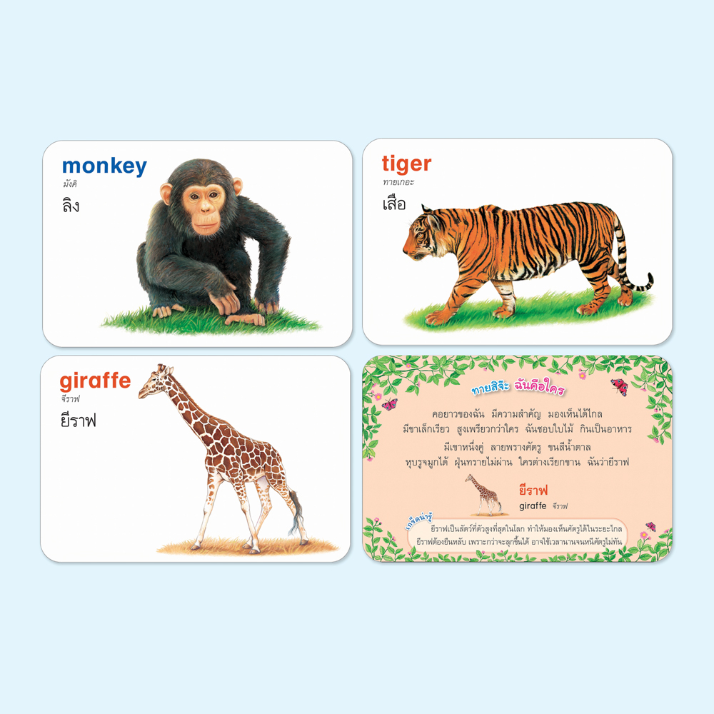 Book World Flash Card สื่อการเรียนรู้ บัตรภาพสัตว์ 2 ภาษา (ไทย-อังกฤษ) พร้อมคำกลอน 4 สีสวยงาม