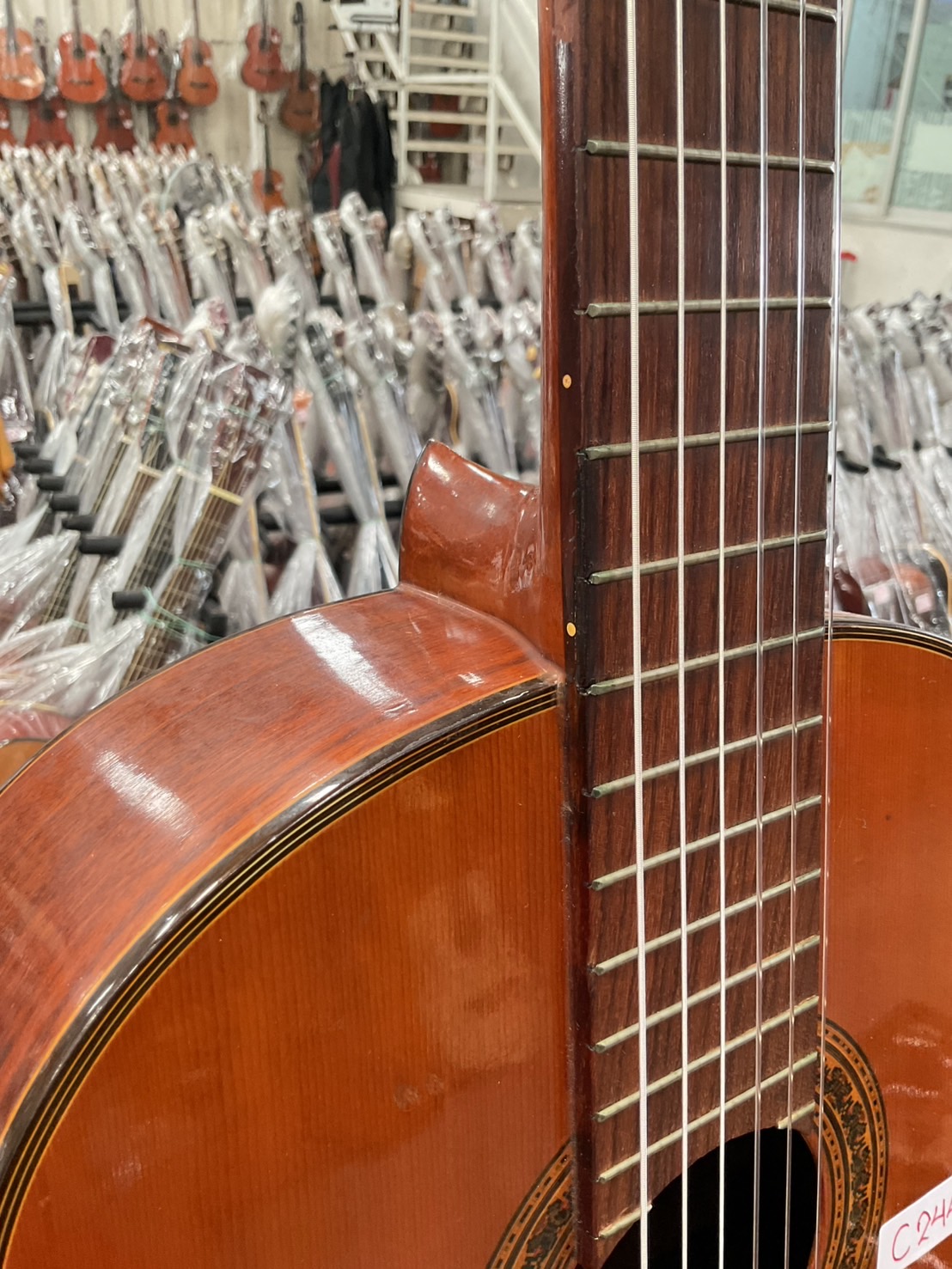 กีต้าร์คลาสสิค Shinano : No.35