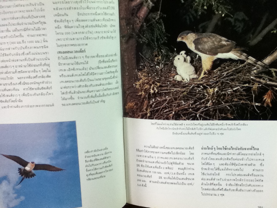 กลวิธีในการถ่ายภาพ ภาค 2