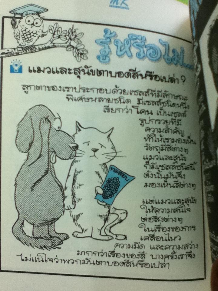 รู้หรือไม่ เจาะความลับข้างในและข้างนอกสิ่งมีชีวิต, แสงและสีหลังม่านตา และ อาหารและการกิน รวม3เล่ม / ลอรา ซูซูกิ, ปีเตอร์ คุก **แถมฟรีเมื่อซื้อครบ 1,200 บาท**