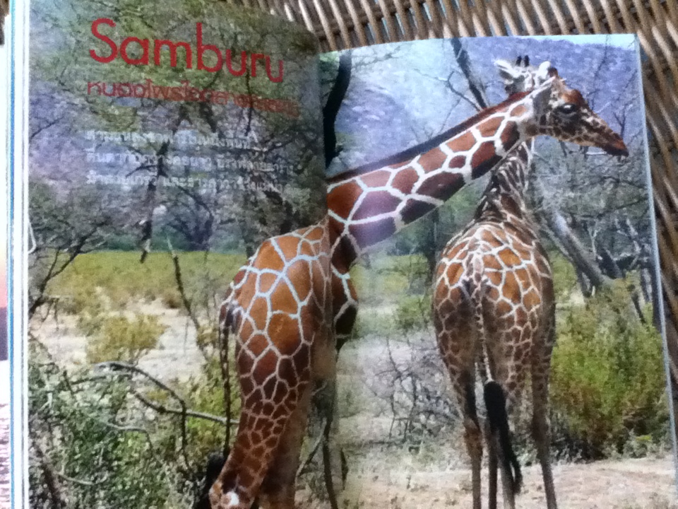 สิบสุดสุดแอฟริกา/ ธรณ์ ธำรงนาวาสวัสดิ์