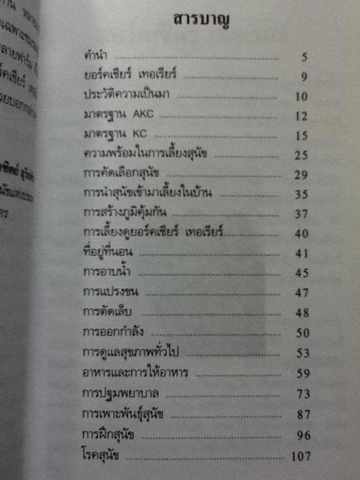 การเลี้ยงสุนัขยอร์คเชียร์ เทอเรียร์