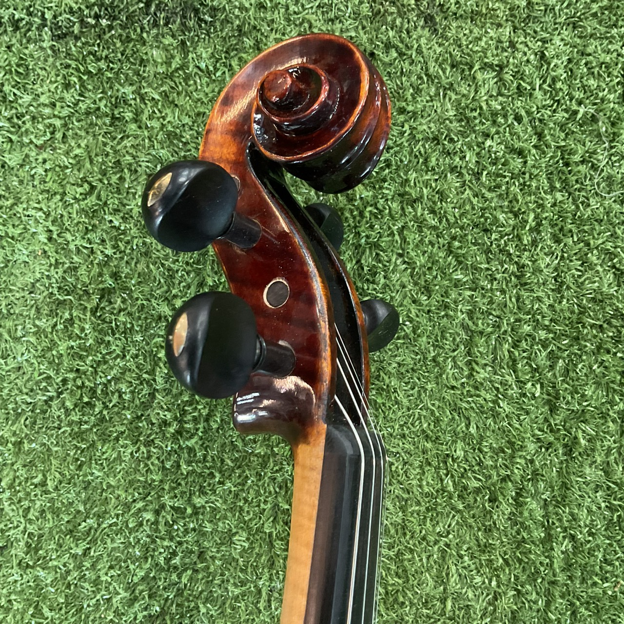 ไวโอลิน Sweet Tone : SV650