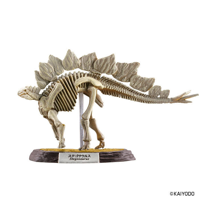 Dinoasaur Master 5 10Pack BOX (CANDY TOY)(Released)