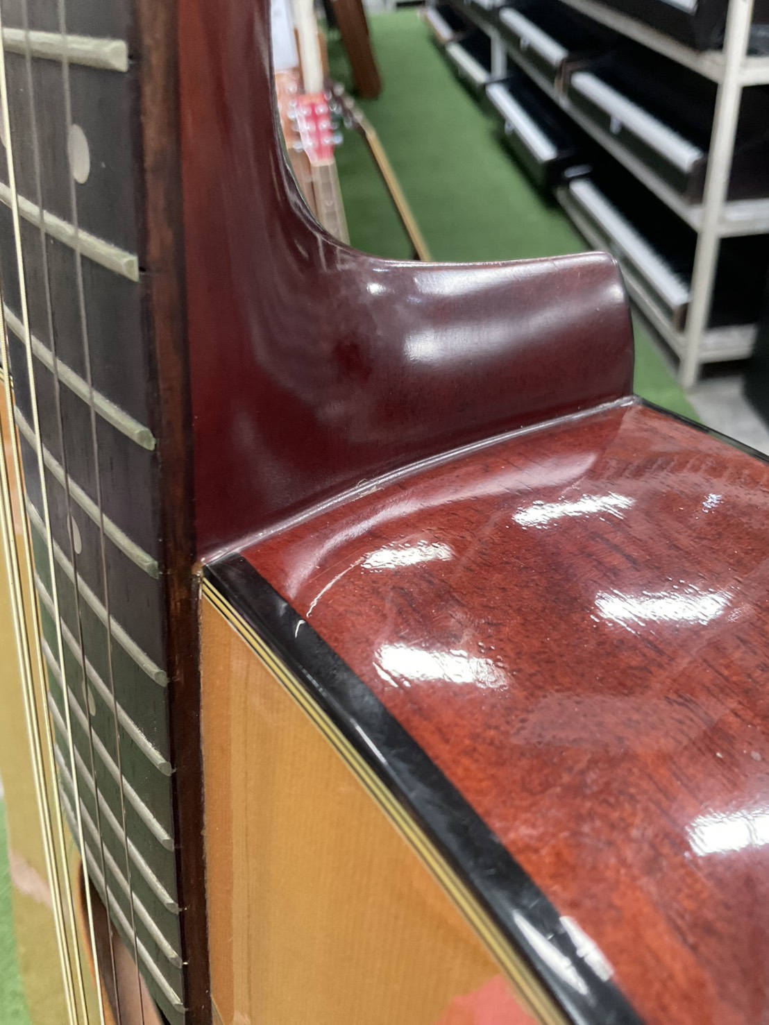 กีต้าร์โปร่ง Morris : W-15