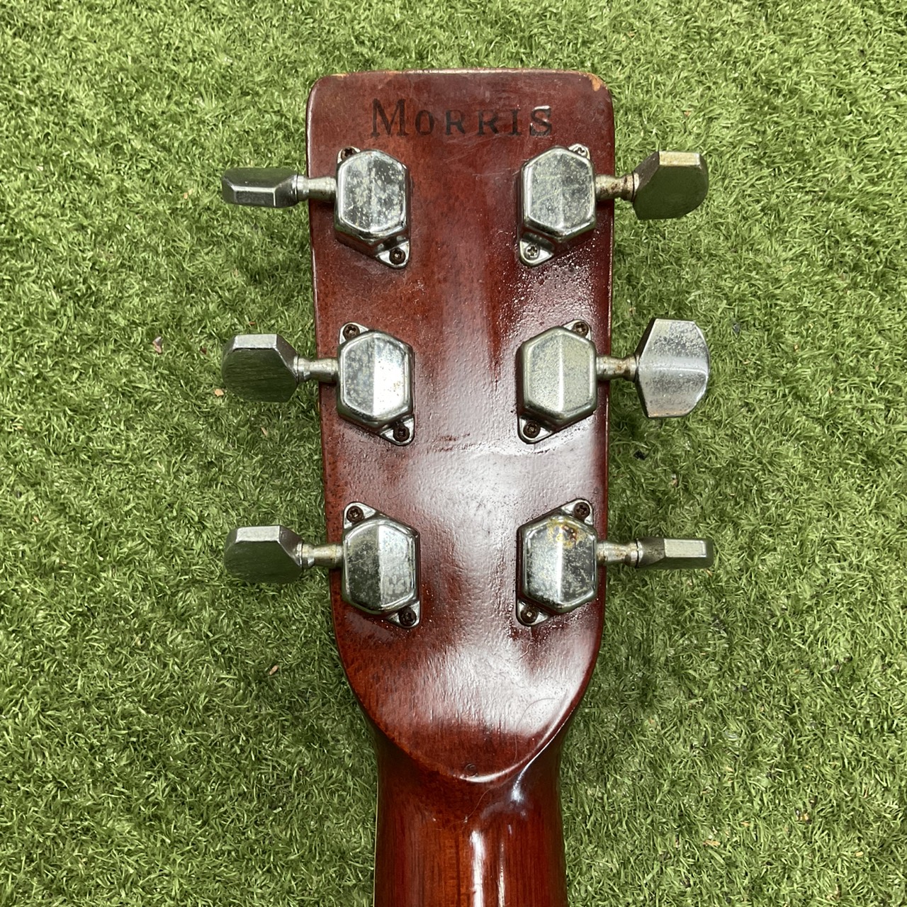 กีต้าร์โปร่ง Morris : W-20