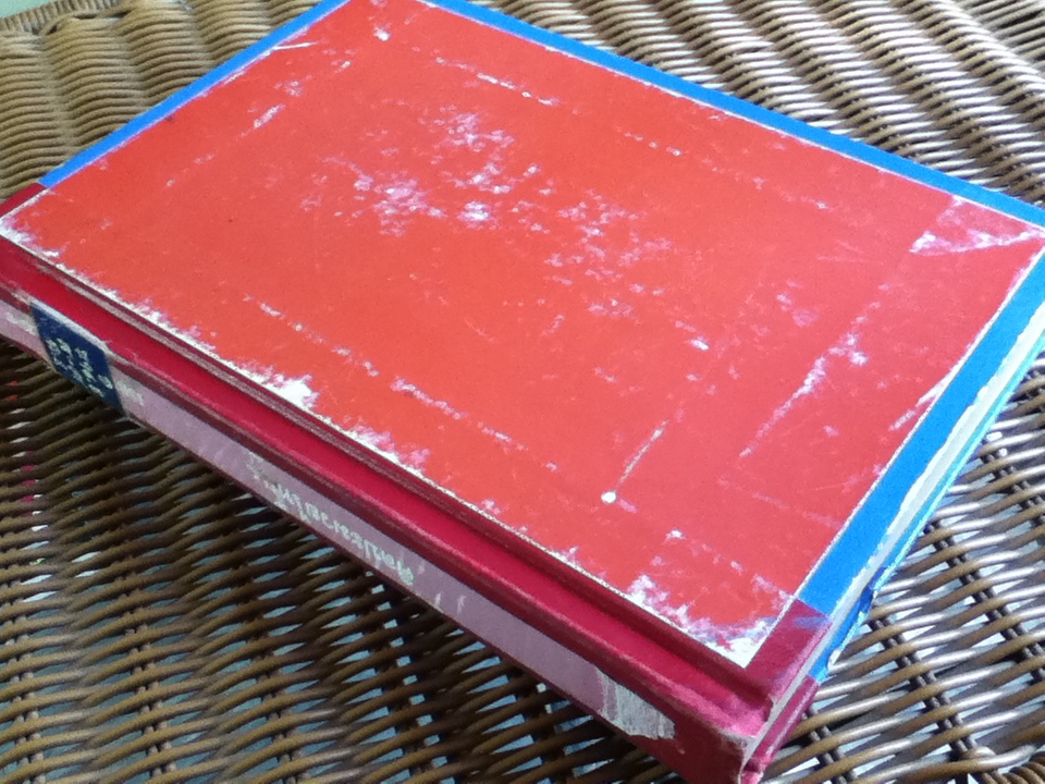 ศิลปะมวยไทย