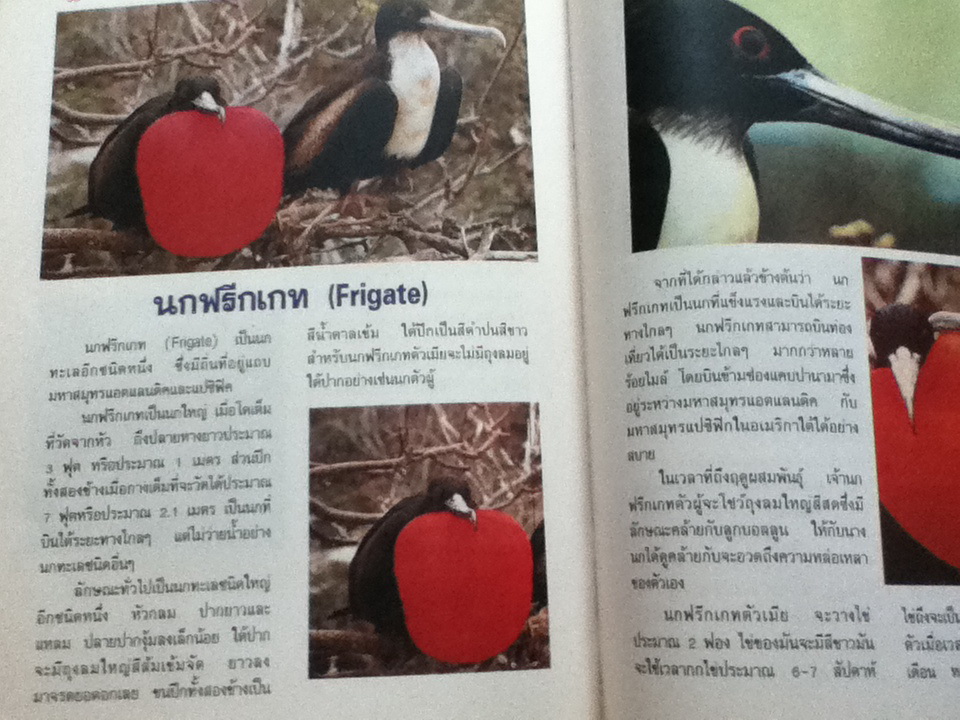 หนังสือภาพความรู้เรื่องนก