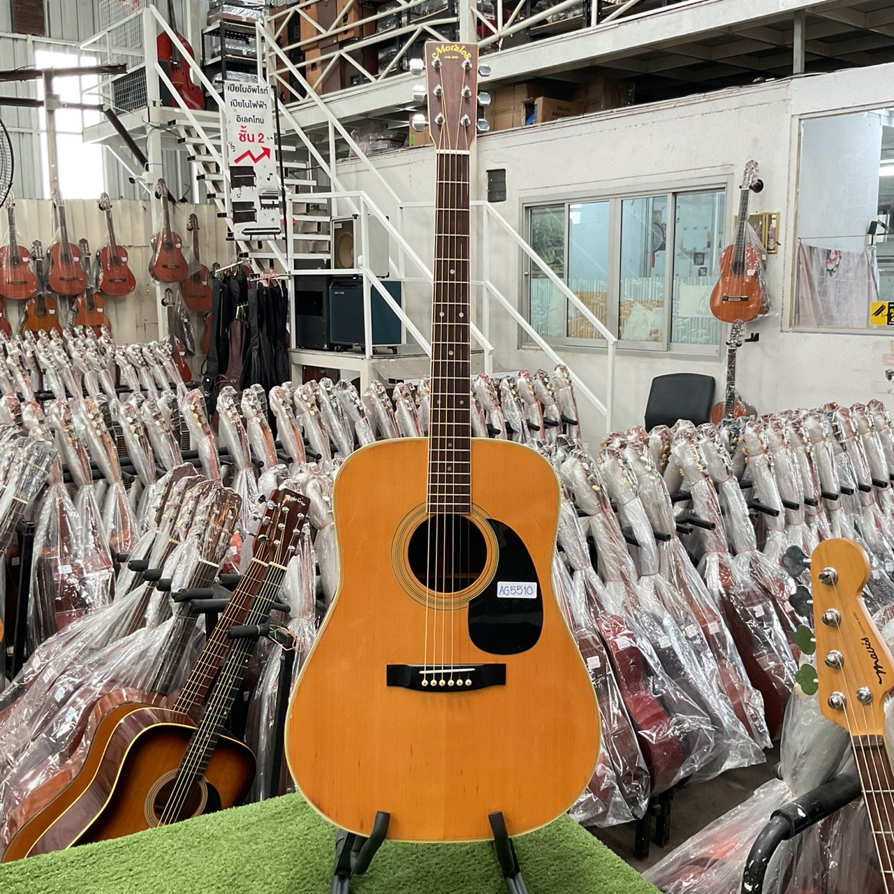 กีต้าร์โปร่ง Morales : LYRE BIRD