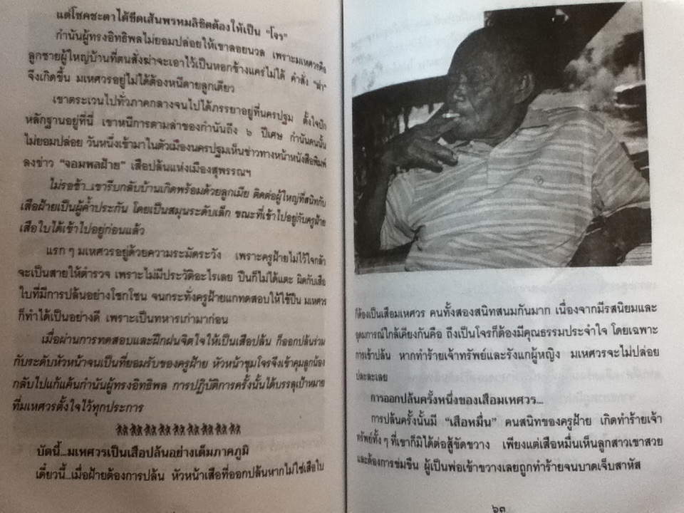 เสือฝ้าย