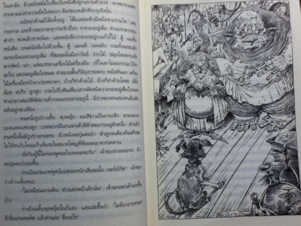 มัดเดิ้ลเอิร์ธ Muddle Earth