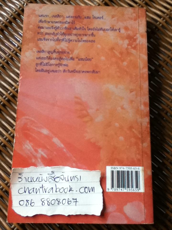 เมียคืนเดียว/ ซูซาน แมคคาร์ที