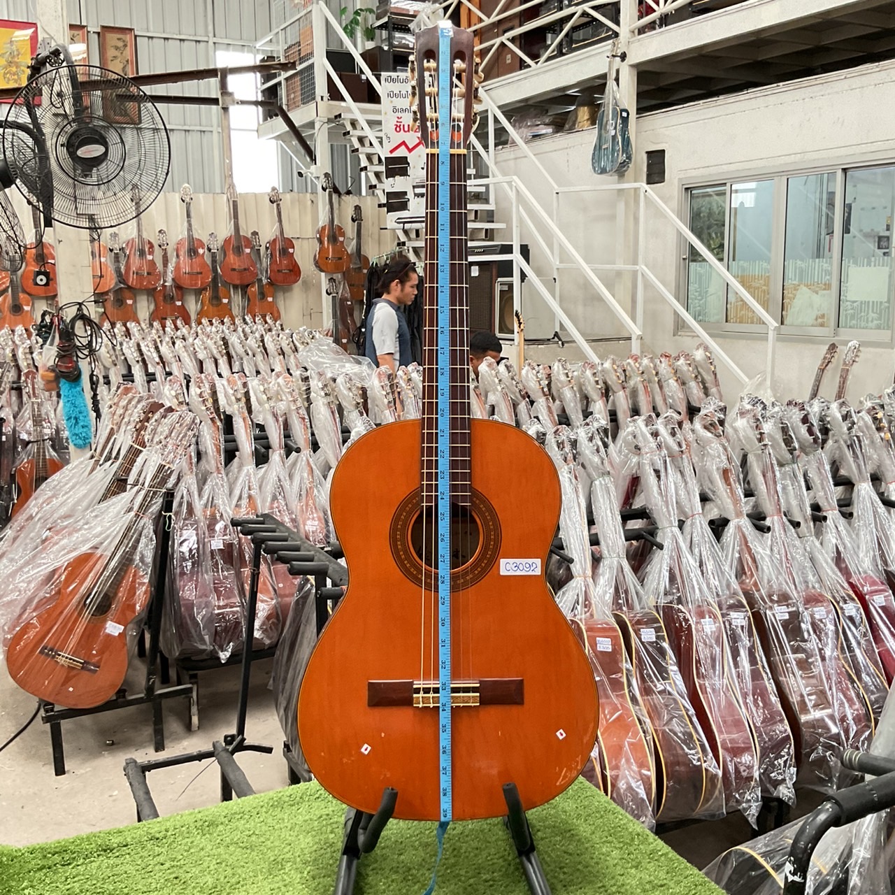 กีต้าร์คลาสสิค 鈴木 (Suzuki) : 34R