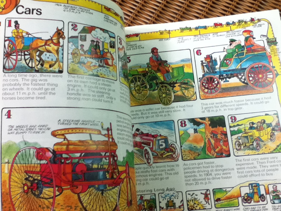 HOW THINGS BEGAN/ Mary Jean McNeil and Colin King