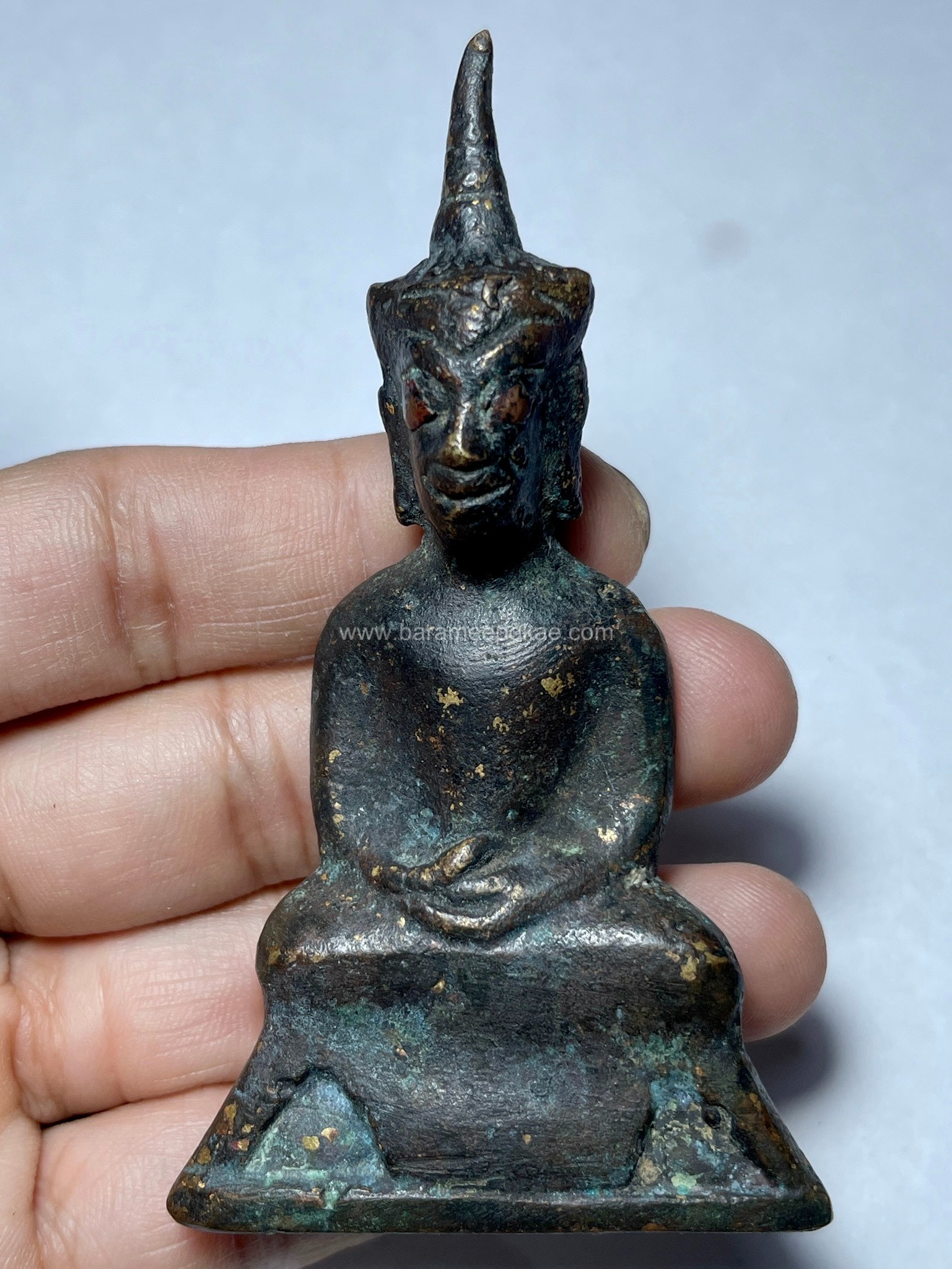 งั่งสะบัดหน้า (ตาทองแดง) Shaked-Face Ngang. (copper red-eyed) SKU-03633