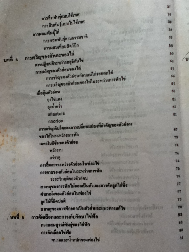 ไข่และการฟักไข่