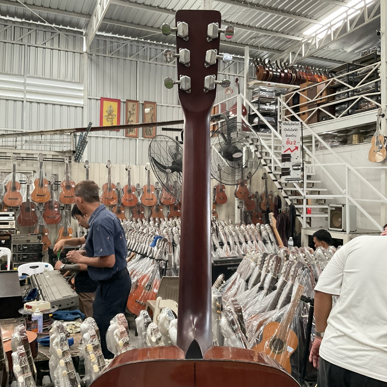 กีต้าร์โปร่ง Morris : MD-501