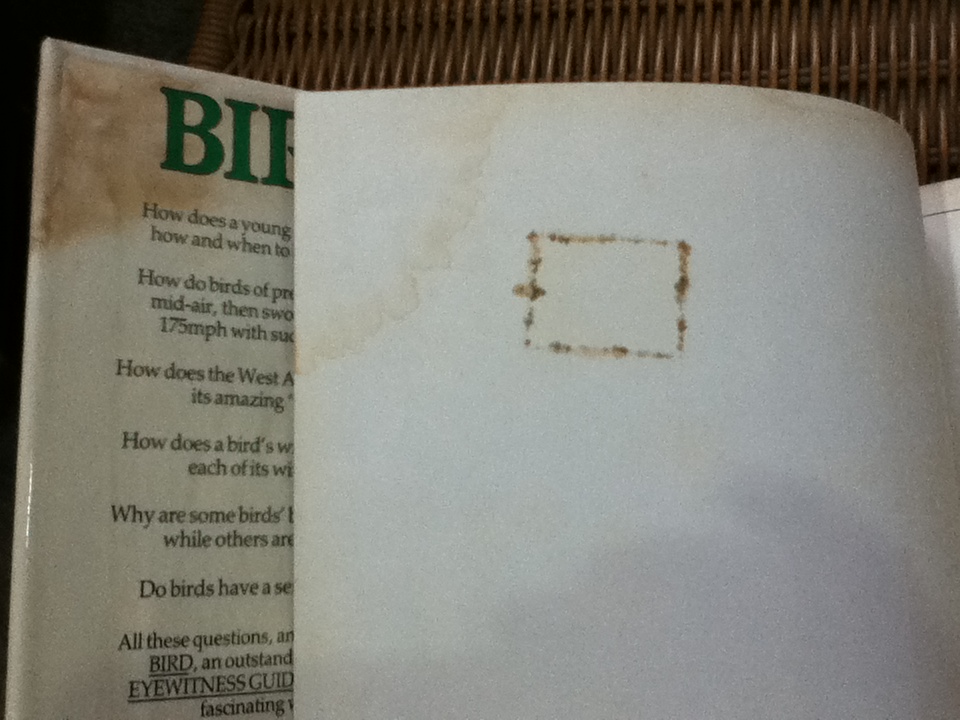 EYEWITNESS GUIDES 9 เล่ม