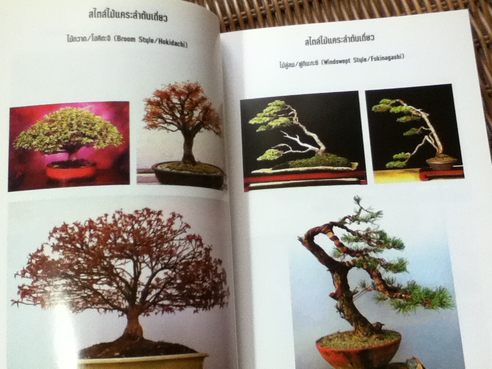 ศิลปะการทำไม้แคระ/ พัฒน์ พิชาน