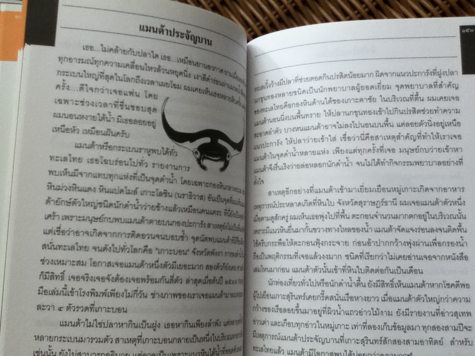 ปลาทะเลไทย เล่ม1 (พร้อมซีดีท่องทะเลชมปลา)/ ธรณ์ ธำรงนาวาสวัสดิ์ และคณะ แถม โครงการอุทยานใต้ทะเล จุฬาภรณ์36