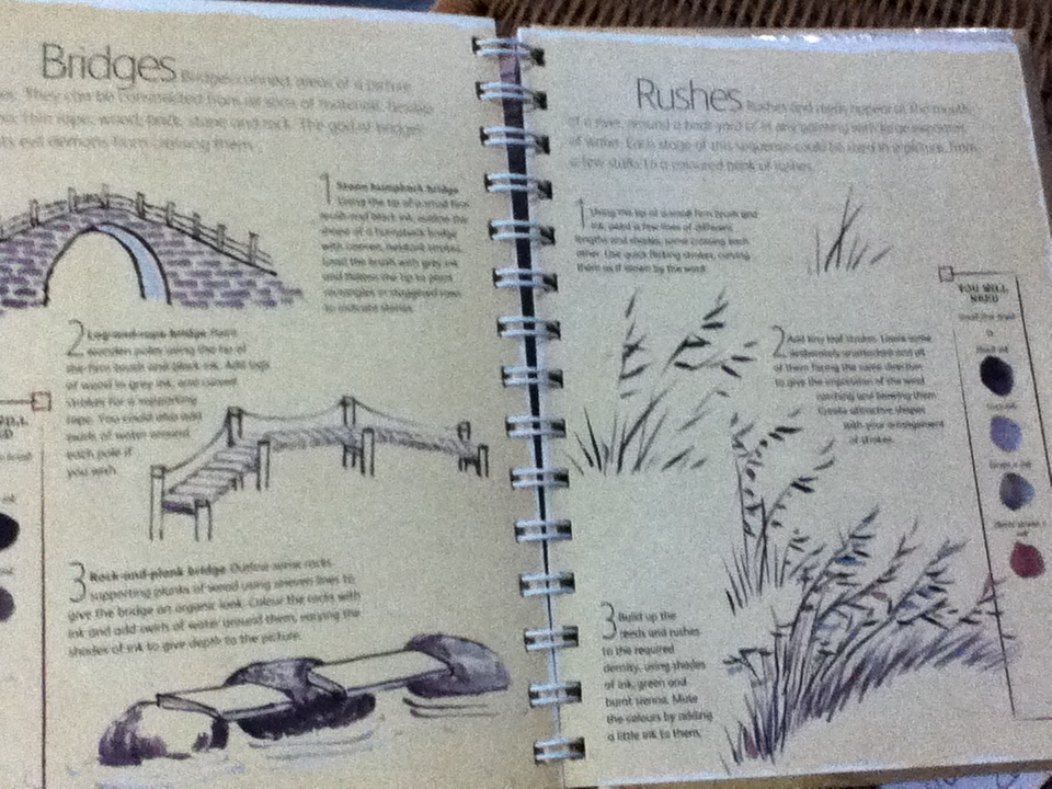 THE CHINESE BRUSH PAINTING BIBLE/ JANE DWIGHT