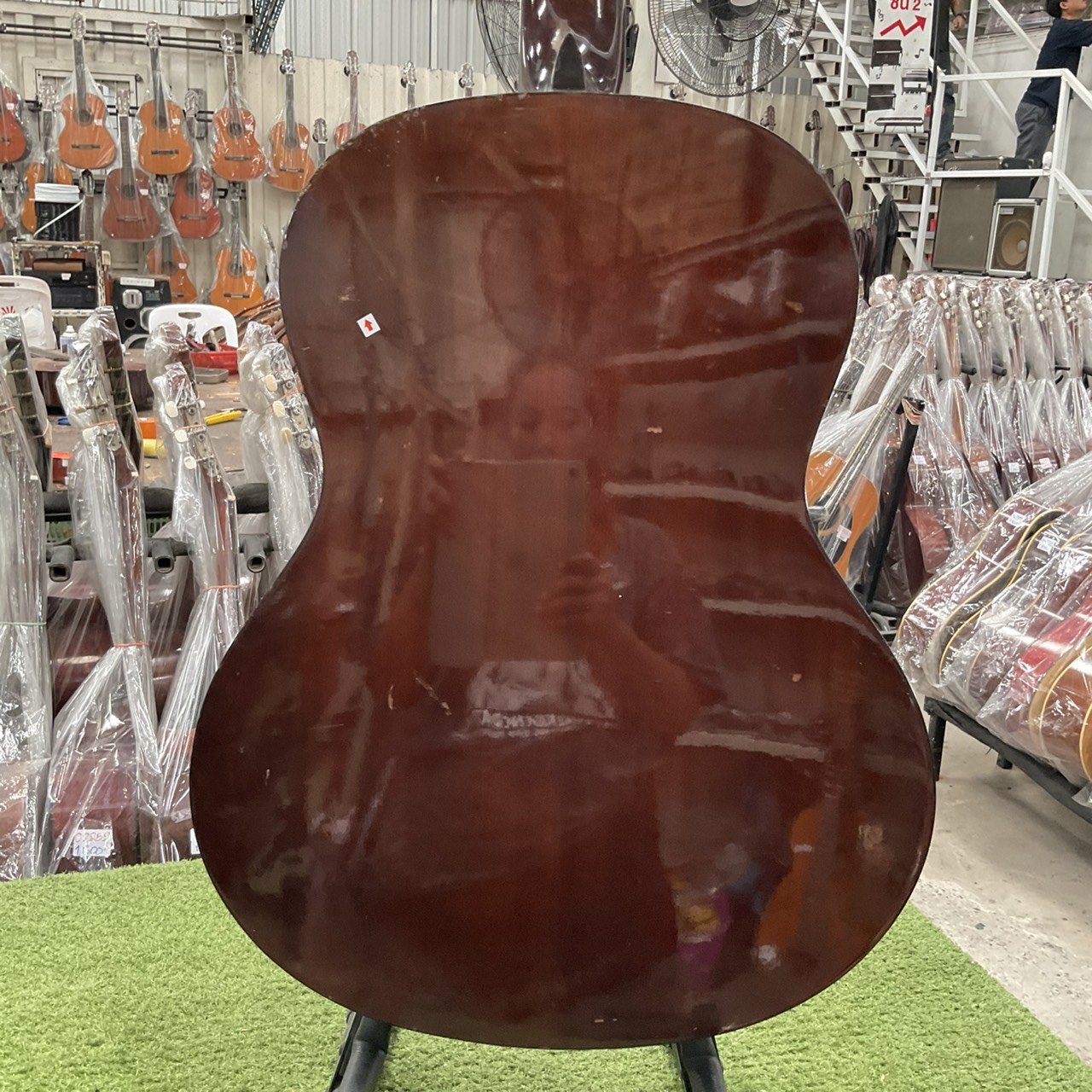 กีต้าร์คลาสสิค Serena : SG-O