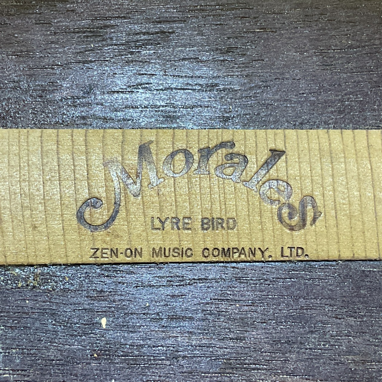 กีต้าร์โปร่ง Morales : LYRE BIRD