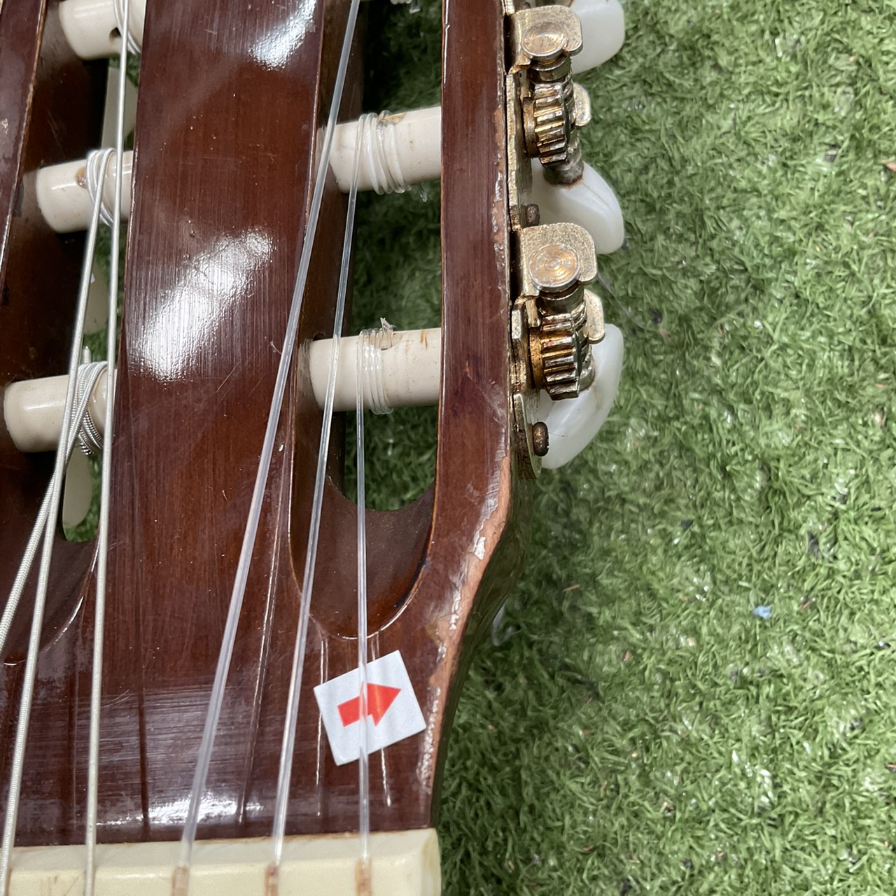 กีต้าร์คลาสสิค Serena : SG-O