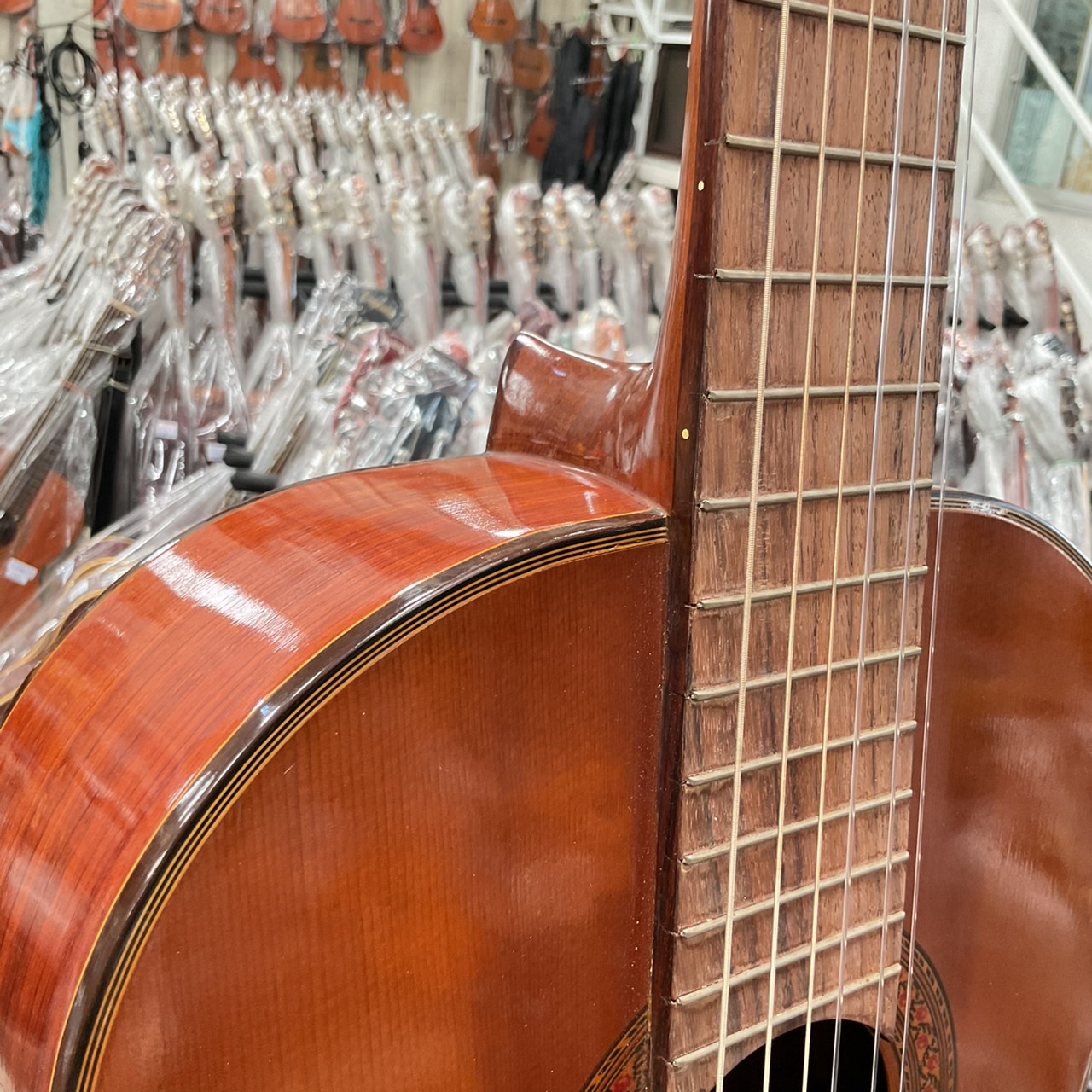 กีต้าร์คลาสสิค Abe Gut : 65A