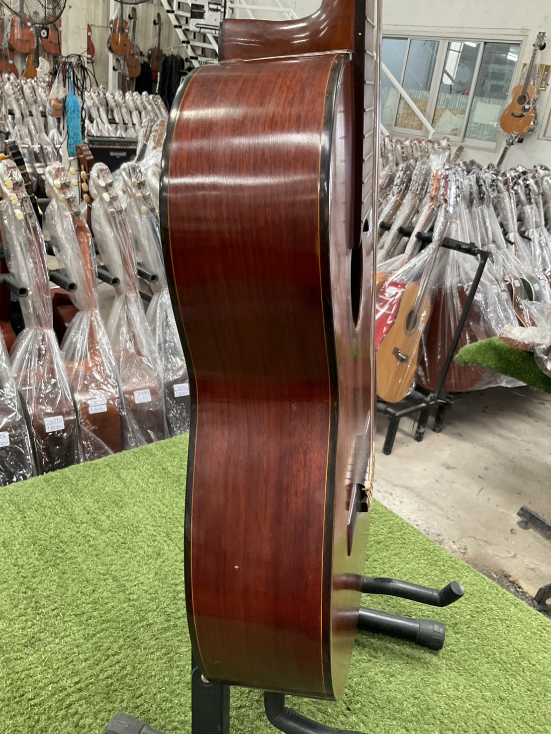 กีต้าร์คลาสสิค Abe Gut : 65s