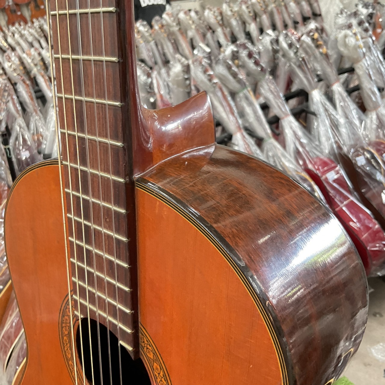 กีต้าร์คลาสสิค Shinano : LG-65