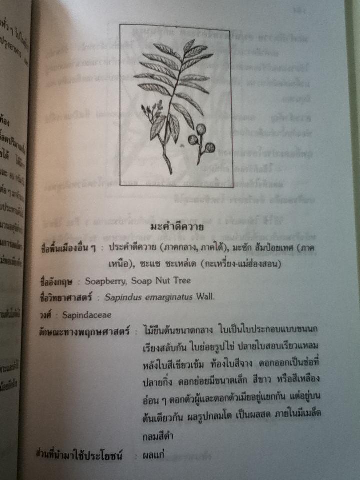 สมุนไพรน่ารู้/ วันดี กฤษณพันธ์