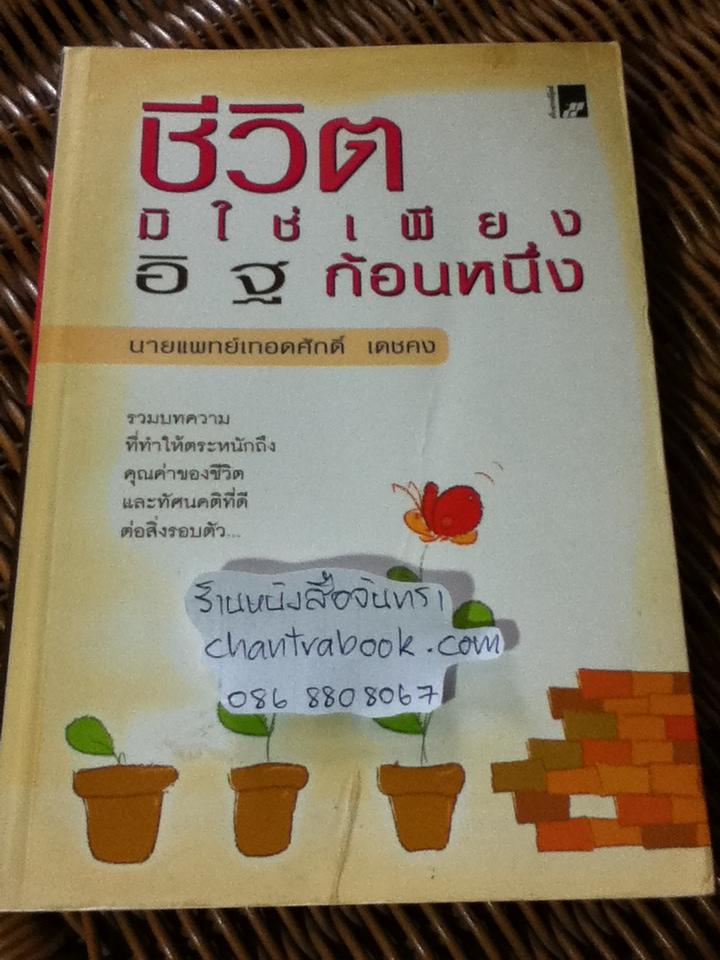 ชีวิตมิใช่เพียงอิฐก้อนหนึ่ง/ นพ.เทอดศักดิ์ เดชคง