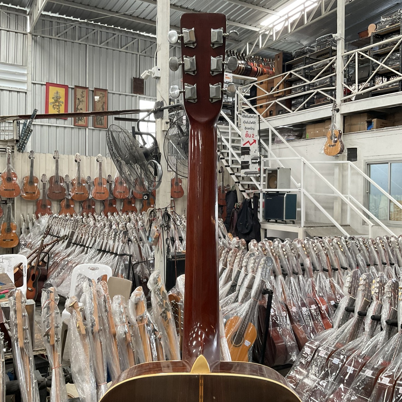 กีต้าร์โปร่ง MORRIS : F15