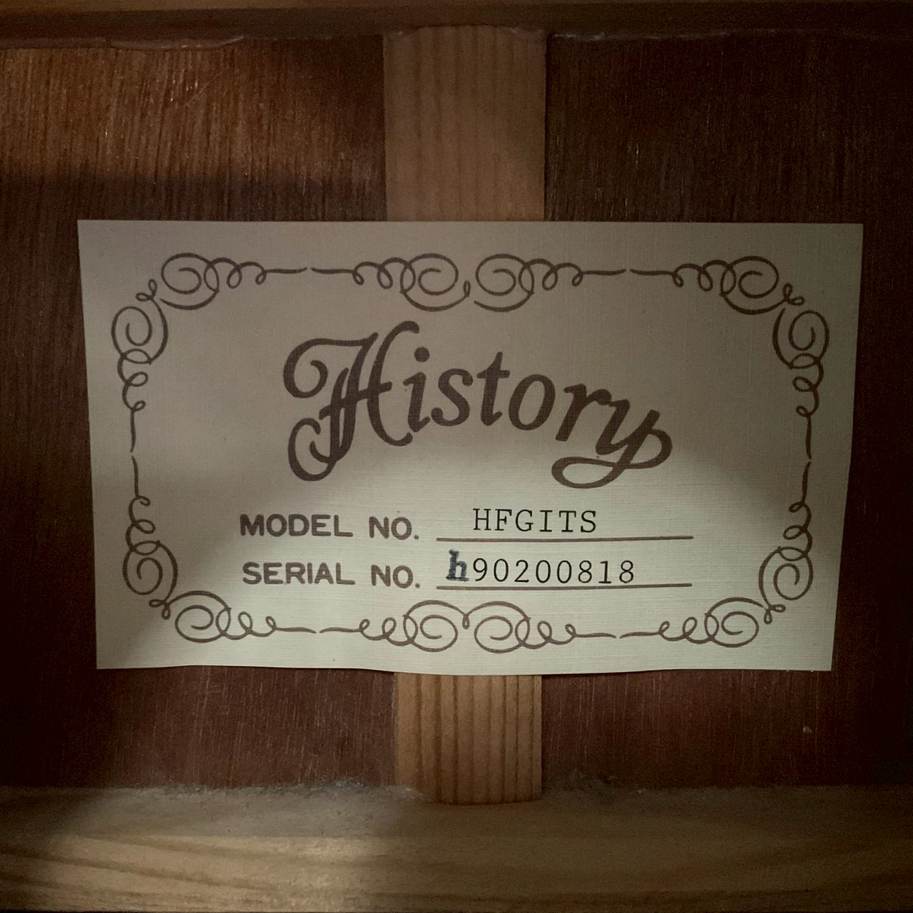 กีต้าร์โปร่ง History : HFGITS