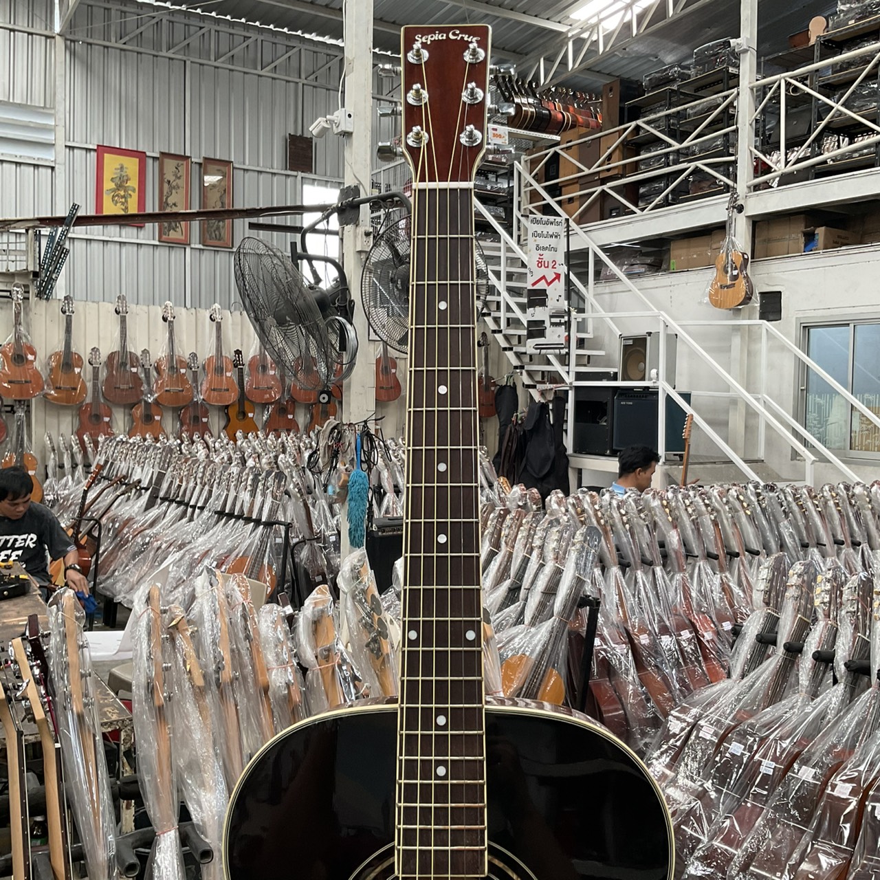 กีต้าร์โปร่ง Sepia Crue : F-170-TS