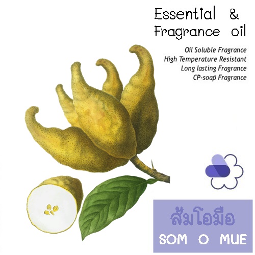 SOM O MUE น้ำมันหอมระเหยผสมส้มโอมือ Citras Fresh Spicy กลิ่นส้มสดใส มีชีวิตชีวา และสดชื่น พร้อมกลิ่นที่เป็นเอกลักษณ์ ละลายในแอกอฮอล์และน้ำมัน / ทนความร้อนสูง / ไม่เร่งเทรซ COA