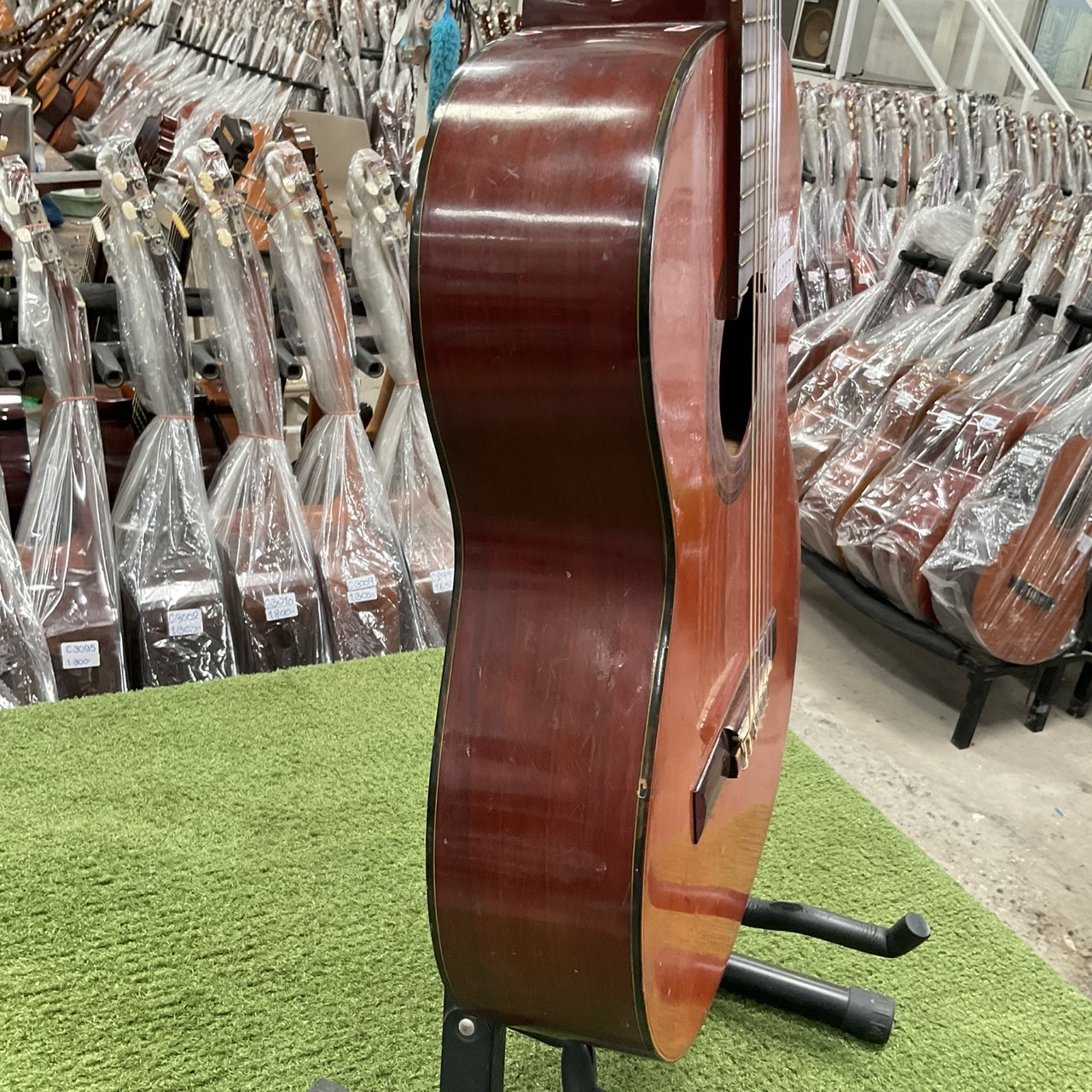 กีต้าร์คลาสสิค SUZUKI : C-10