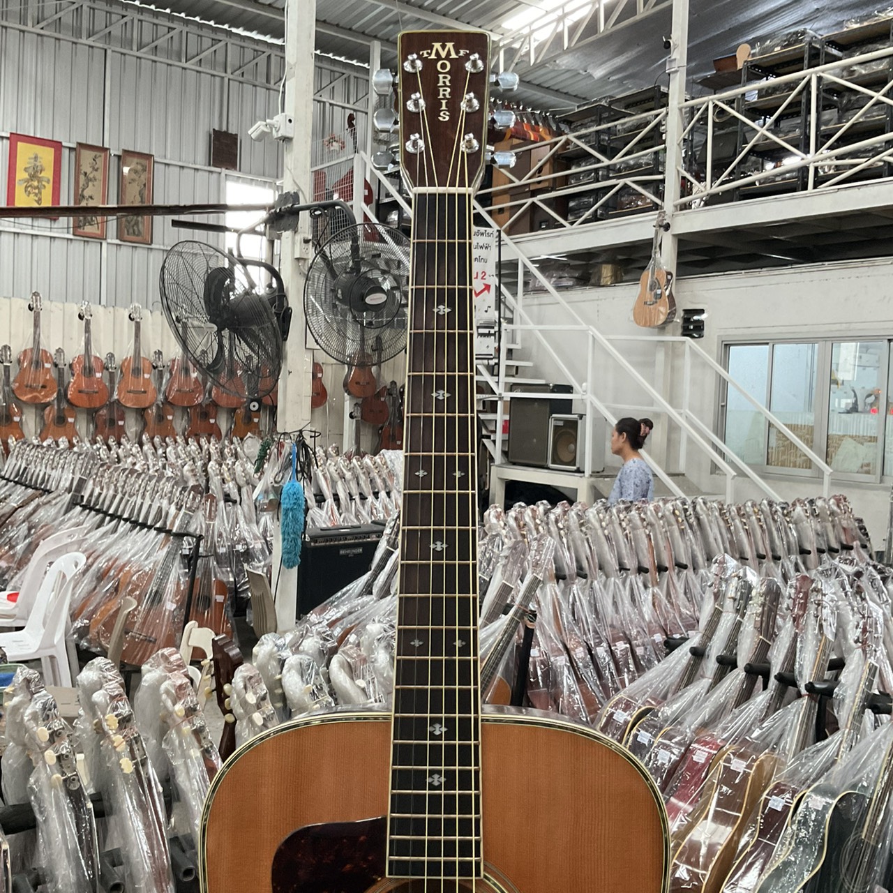 กีต้าร์โปร่ง Morris : W-50 (สำหรับมือซ้าย)