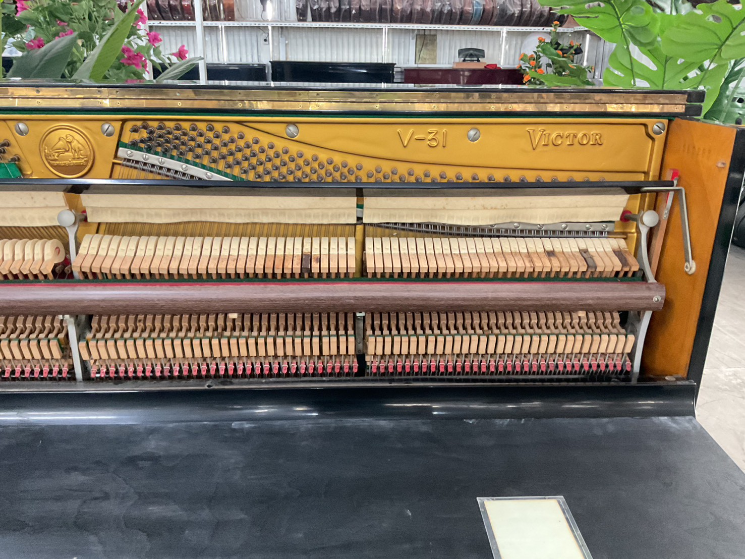 เปียโนอัพไลท์ VICTOR : V-31