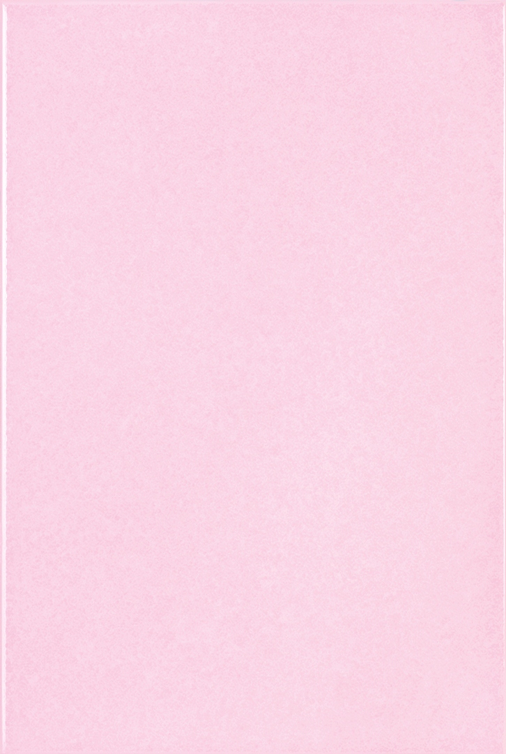 WT 8x12 แฟลซชี่ ชมพูอ่อน PM