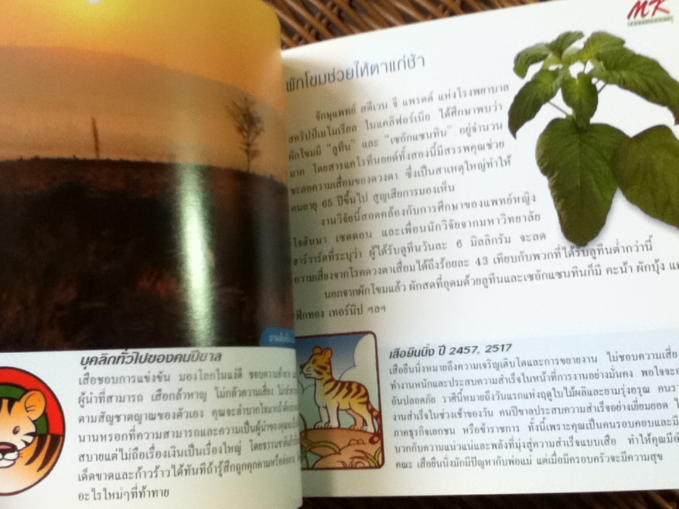โหราศาสตร์สุขภาพกับ MK (หนังสือแถม)