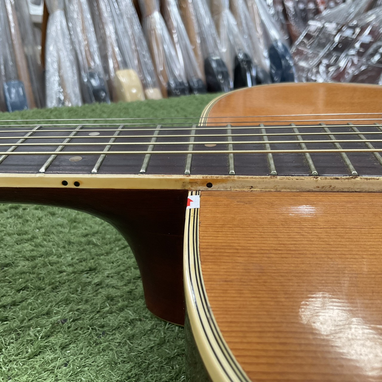 กีต้าร์โปร่ง MORRIS : F15