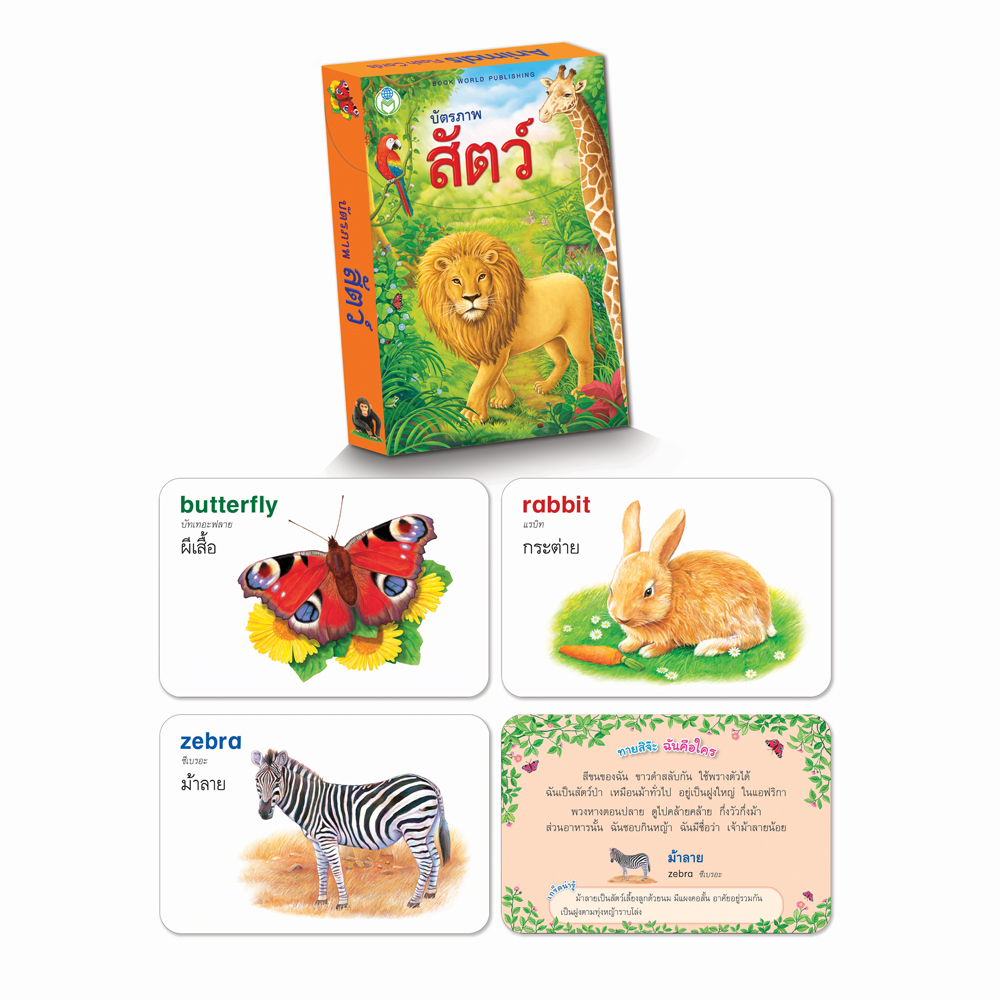 Book World Flash Card บัตรคำ บัตรภาพชุดที่ 13 (ดอกไม้, ผลไม้, ผัก, สัตว์) 1 ชุด มี 4 กล่อง