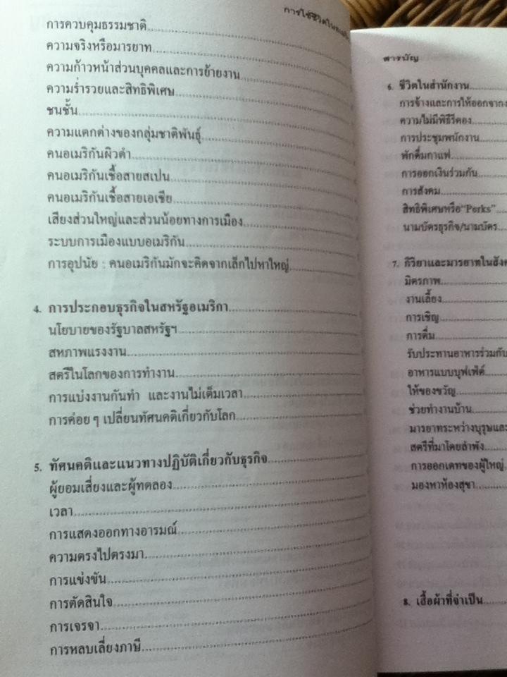 การใช้ชีวิตในอเมริกา/ แอลิสัน อาร์. แลเนียร์
