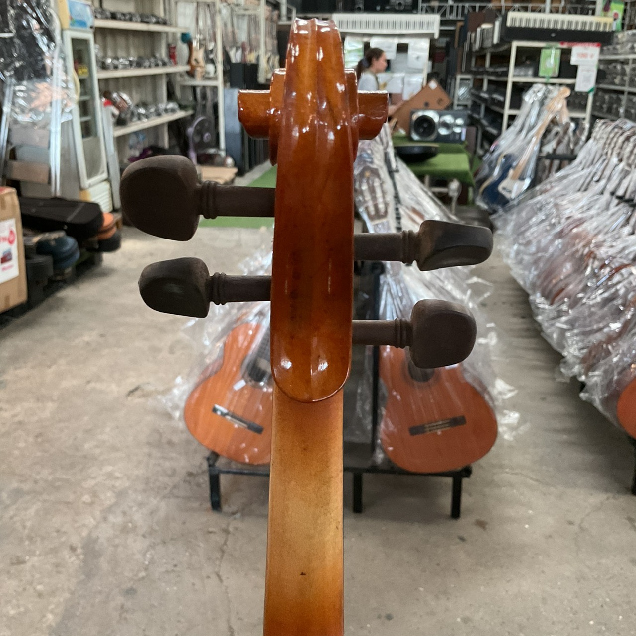 ไวโอลิน Stentor : RO69423