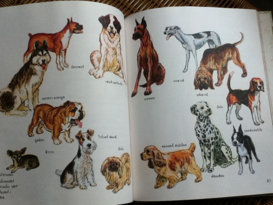 สารานุกรมสำหรับเด็ก บริทานิกา (16 เล่ม/ชุด)