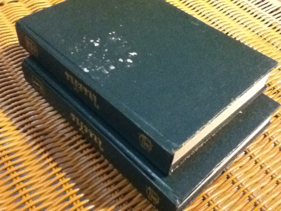 ในฝัน ปกแข็ง 2 เล่ม/จบ