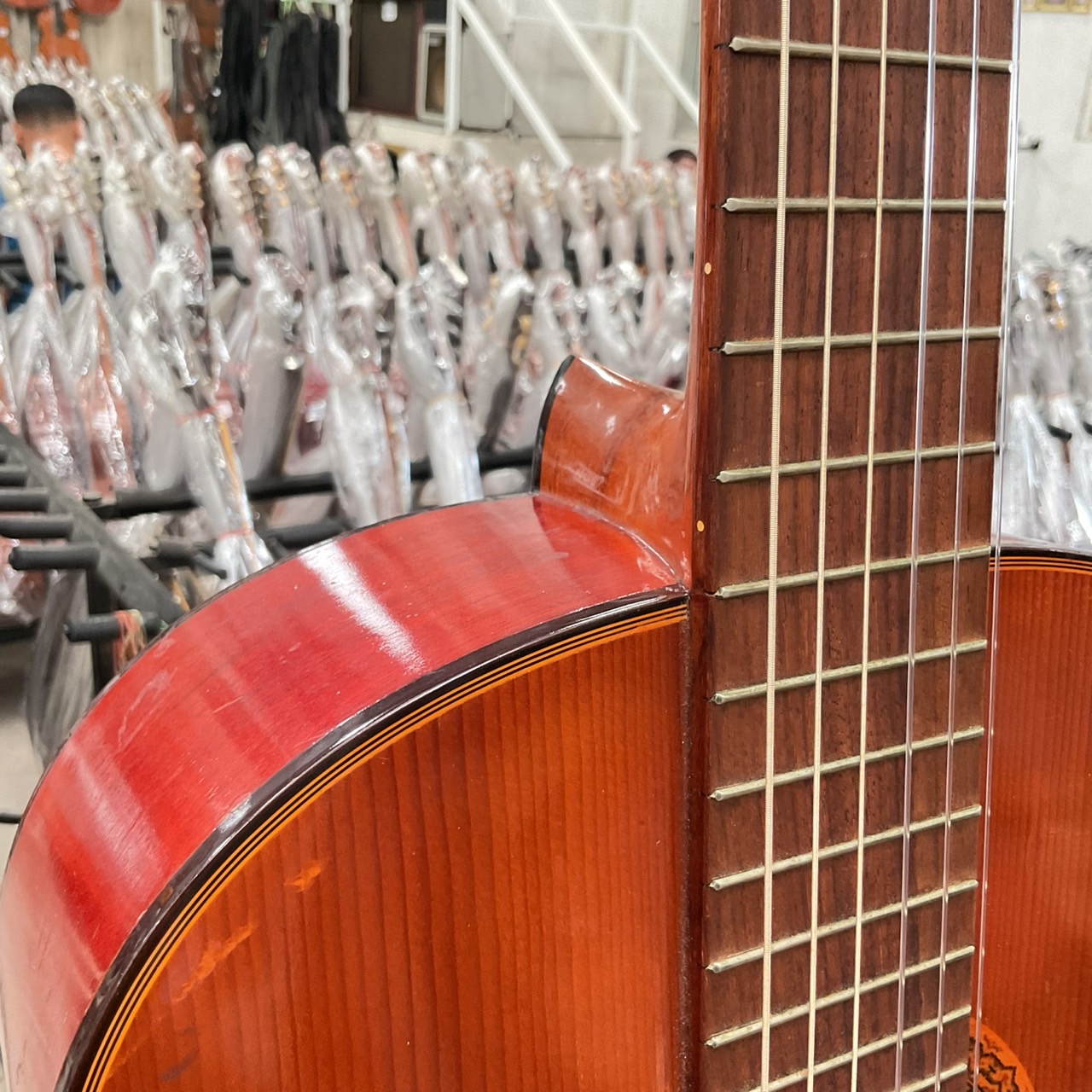 กีต้าร์คลาสสิค Abe Gut : No.510