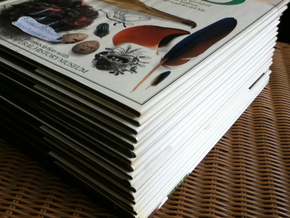 EYEWITNESS GUIDES 9 เล่ม